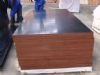 brown film faced plywood with 15mm thickness